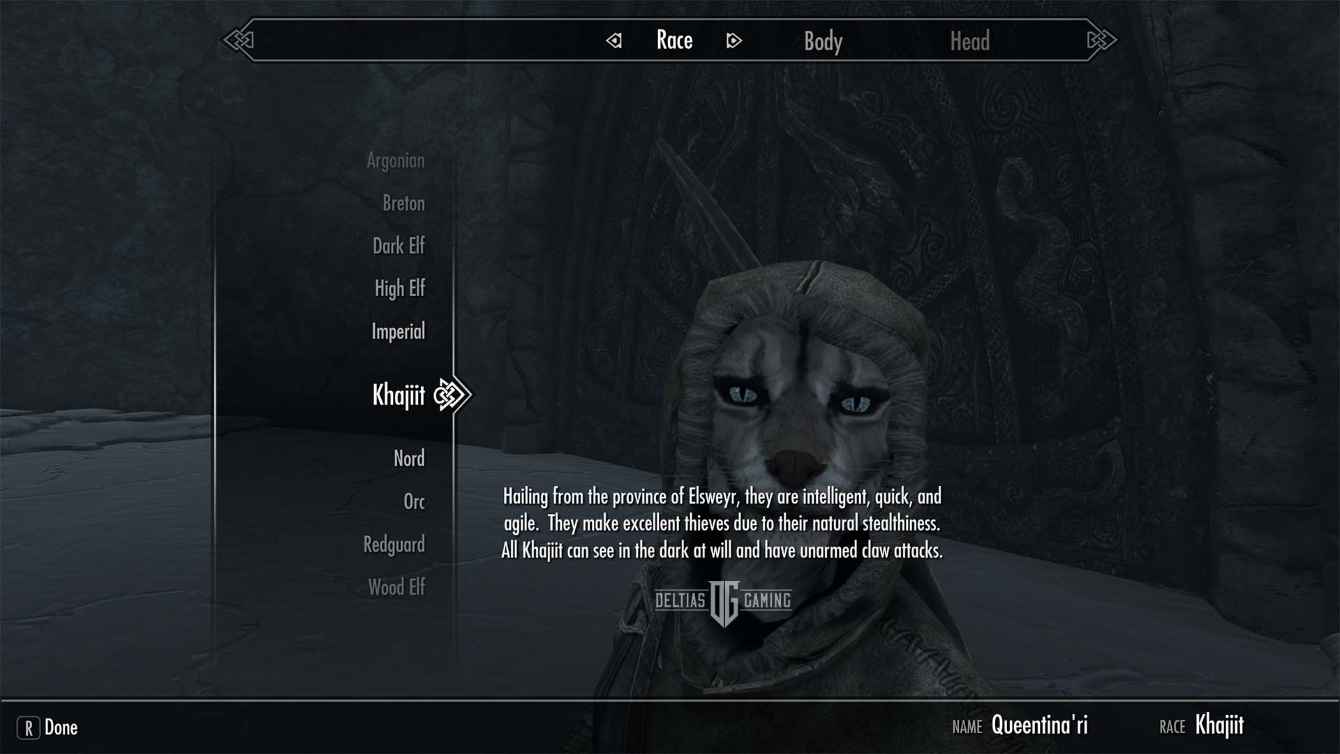 Best Race for Skyrim Archer build - Khajiit - Deltia's Gaming