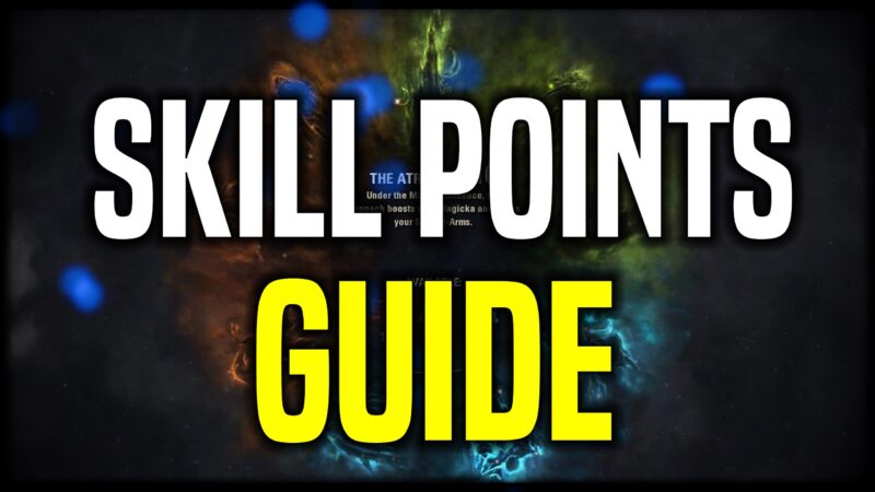 Skill Points Guide
