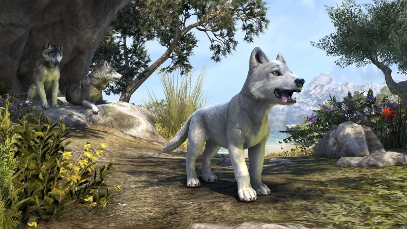 White River Ice Wolf Pup