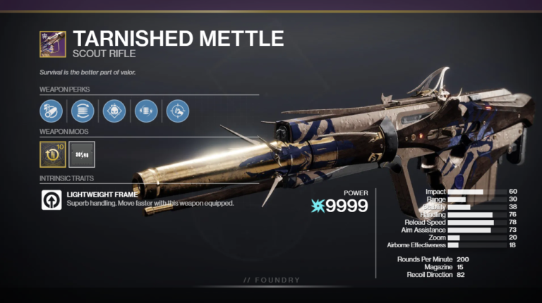 Tarnished Mettle PvE God Roll