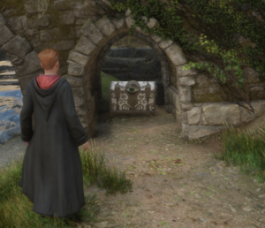 Hogwarts Legacy - Eyeball Chest