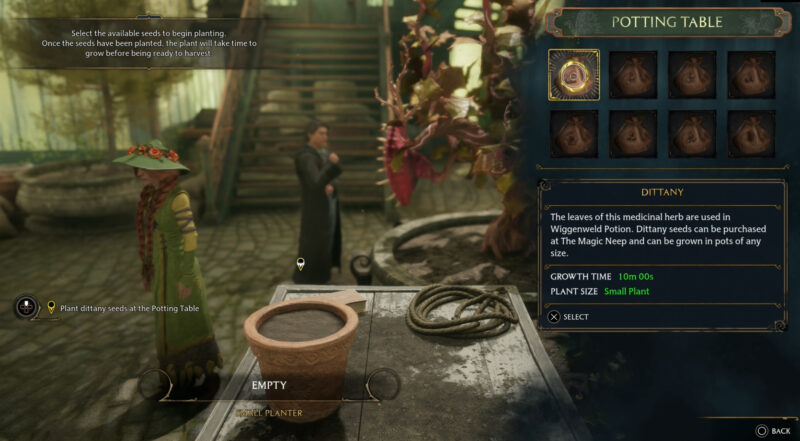 Hogwarts Legacy - Herbology Class Planting Dittany