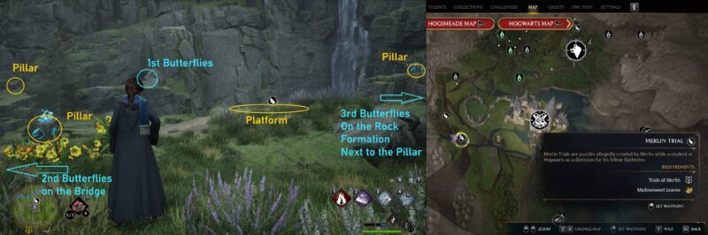 Hogwarts Legacy - Merlin's Trial - Butterflies Puzzle Location 1