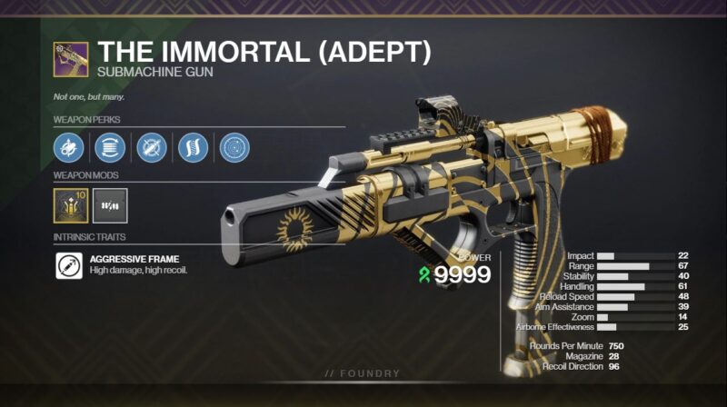 The Immortal PvE God Roll