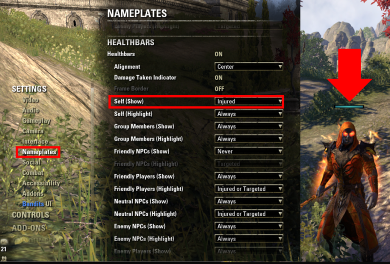 ESO PvP Tips and Tricks - Health bar on when injured - in gameplay settings