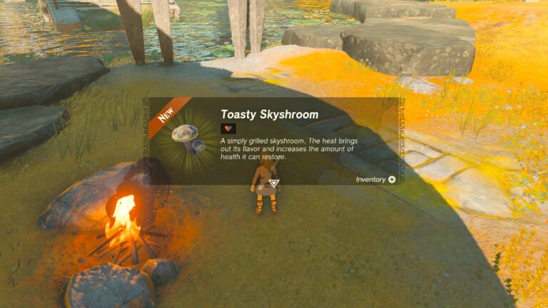 How to Make a Campfire in Zelda Tears of the Kingdom