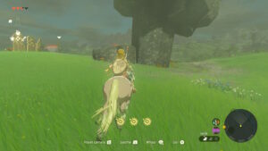 How to Tame a Horse in The Legend of Zelda Tears of the Kingdom