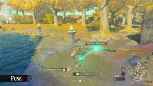 The Legend of Zelda Tears of the Kingdom Fuse Ability