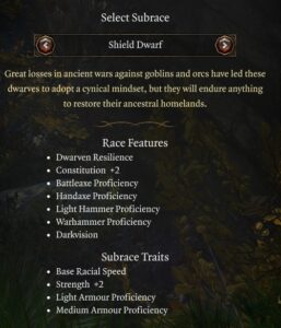 Baldur's Gate 3 Shield Dwarf Race