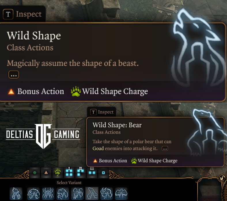 Baldur's Gate 3 Wild Shape Druid