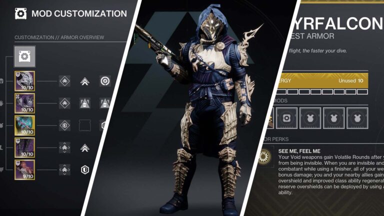 D2 Void Hunter PvE Build