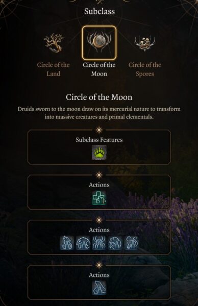 BG3 Circle of the Moon Subclass