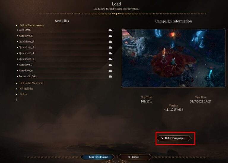 BG3 Delete Campaign