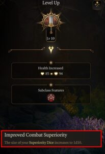 BG3 Level 10 Fighter