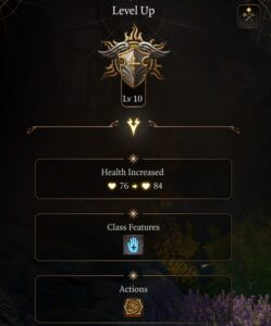 BG3 Level 10 Paladin