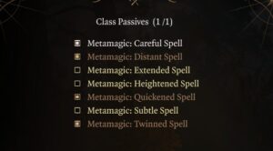 BG3 Metamagic Careful