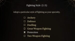 BG3 Protection Fighter Fighting Style