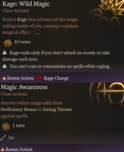 Baldur's Gate 3 Rage Wild Magic