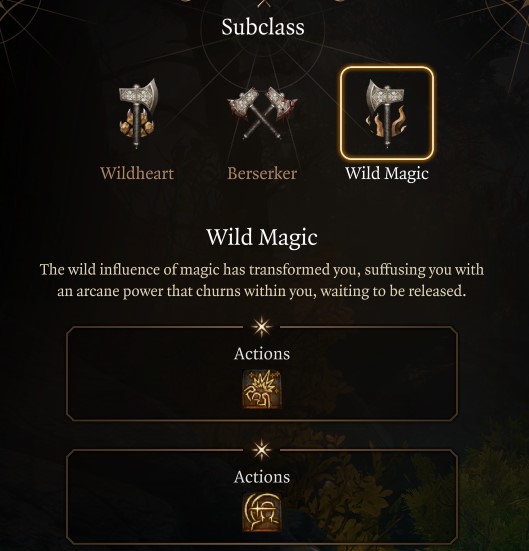 Baldur's Gate 3 Wild Magic Subclass