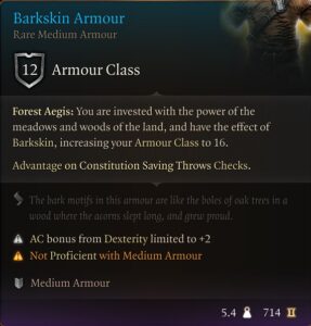 Baldur’s Gate 3 Barkskin Armour