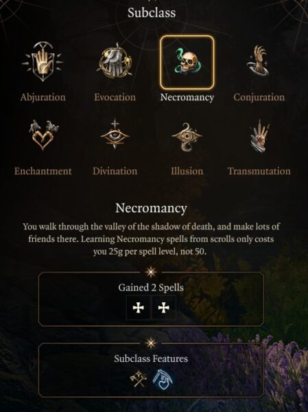 Baldur's Gate 3 Necromancy Subclass