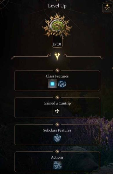 Best Baldur’s Gate 3 Circle of the Land Druid Build Level 10