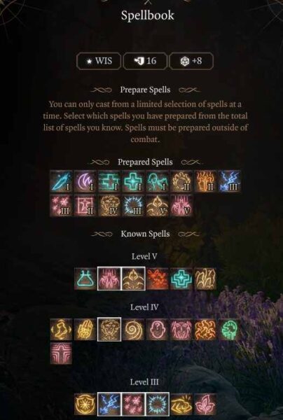 Best Baldur’s Gate 3 Circle of the Land Druid Build Level 10 Spells