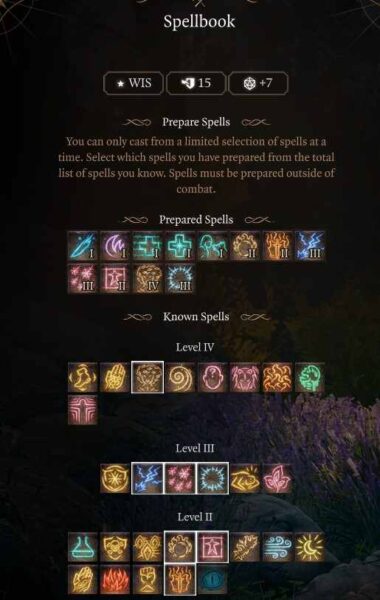 Best Baldur’s Gate 3 Circle of the Land Druid Build Level 8 Spells