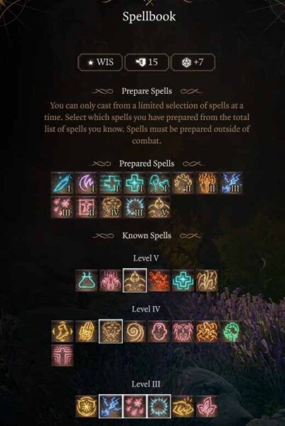 Best Baldur’s Gate 3 Circle of the Land Druid Build Level 9 Spells
