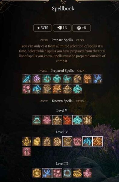 Best Baldur’s Gate 3 Circle of Spores Druid Build Guide Level 10 Spells