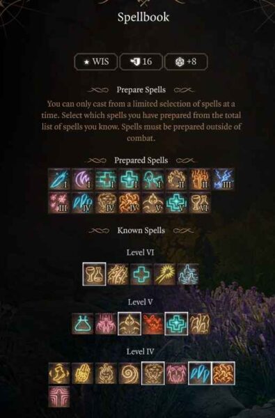 Best Baldur’s Gate 3 Circle of Spores Druid Build Guide Level 11 Spells