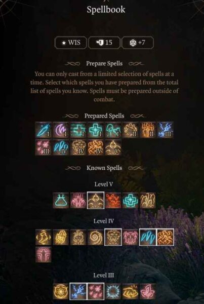 Best Baldur’s Gate 3 Circle of Spores Druid Build Guide Level 9 Spells
