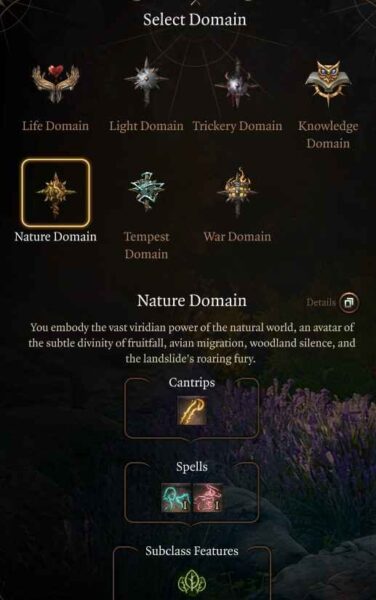 Baldur's Gate 3 Nature Domain Subclass
