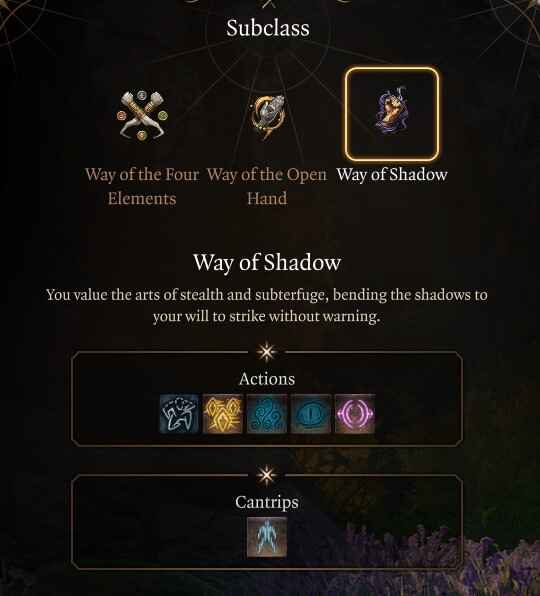 Baldur's Gate 3 Way of Shadow Subclass