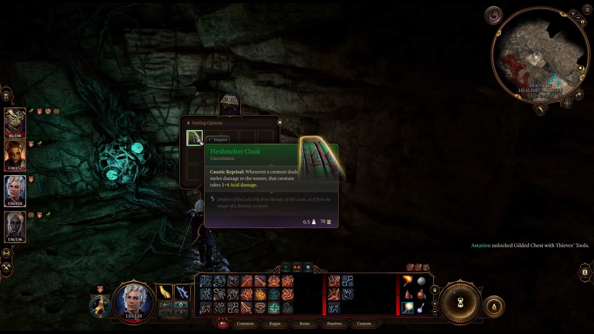 Baldur's Gate 3 Fleshmelter Cloak thumbnail