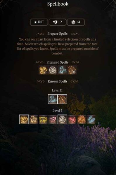 Best Baldur’s Gate 3 Multiclass Druid Build Level 10 Spells