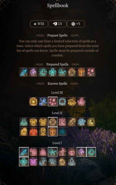 Best Baldur’s Gate 3 Multiclass Druid Build Level 5 Spellbook