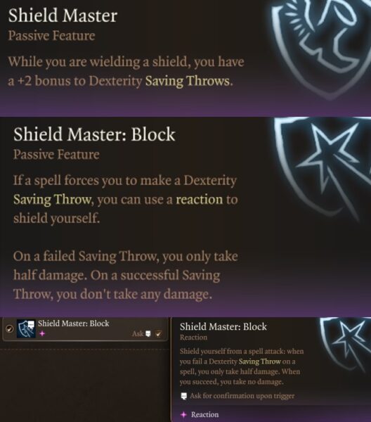 BG3 Shield Master Feat Explained