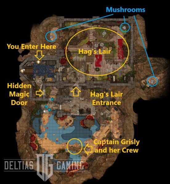 Ethel's Lair Map in Act 3 Baldur’s Gate 3 BG3 Deltia's Gaming