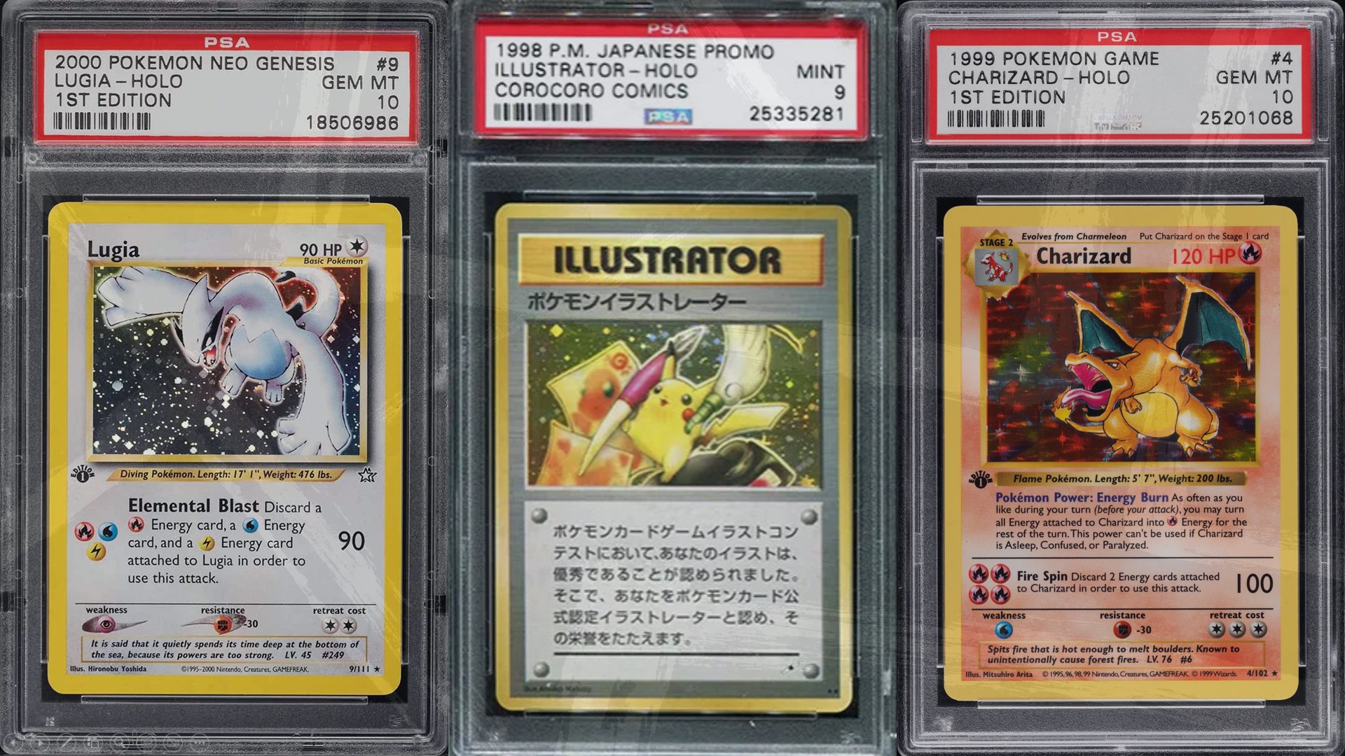Newbies Guide to Collecting Popular Pokemon Cards