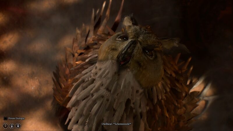 BG3 - How to Defeat Owlbear