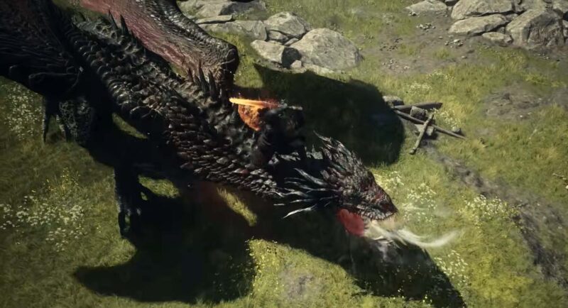 Dragon's Dogma 2 Warrior gameplay two handed sword