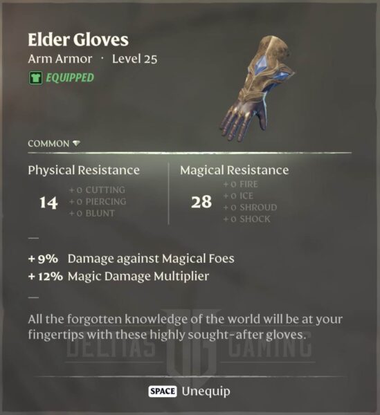 Enshrouded Elder Gloves