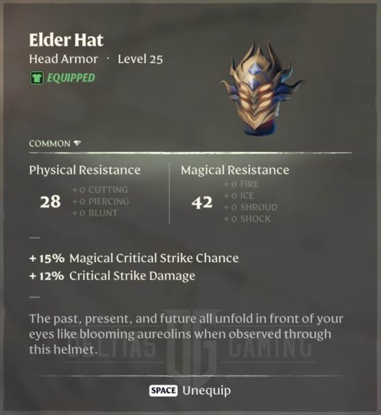 Enshrouded Elder Hat