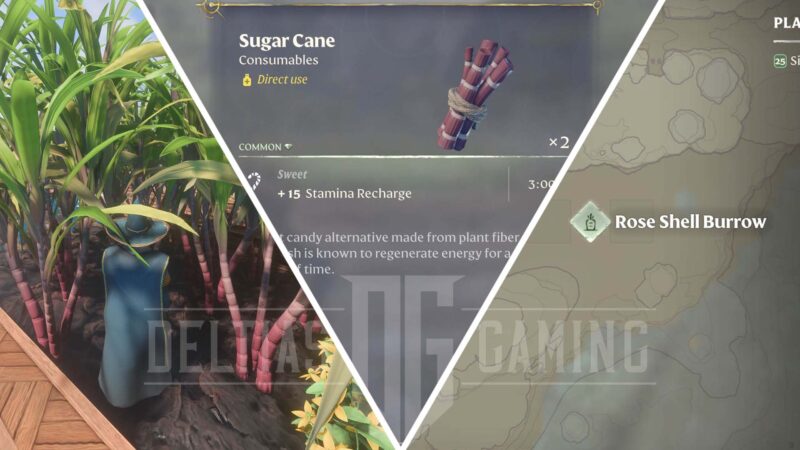 How to Get Sugar Cane in Enshrouded