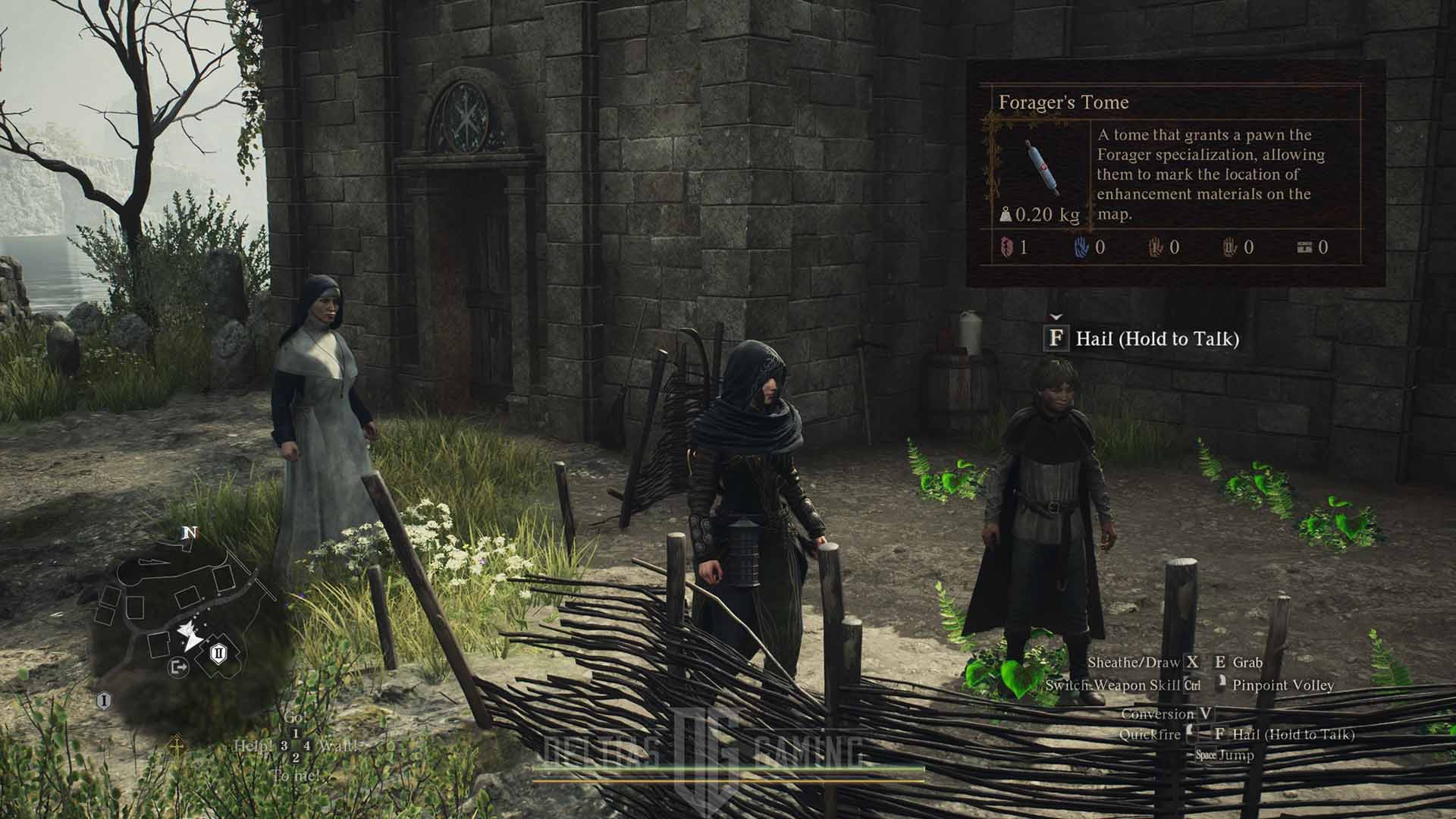 Dragon’s Dogma 2: How to Get Forager Specialization