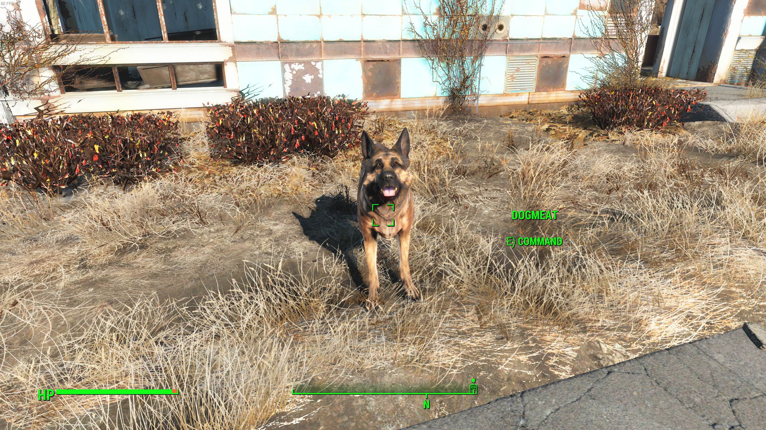Fallout 4: Компаньон по собачьему мясу
