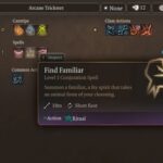 Find Familiar is a Level 1 conjuration spell (Source: Larian Studios)