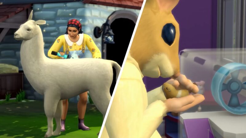 5 Most Unique Pets in The Sims 4